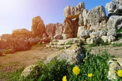 Malta Prehistoric Temples Tour