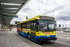 Manhattan: Bus Transfer from/to Newark Airport