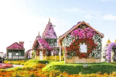 Miracle Garden & Butterfly Garden: Guided Tour and Transportation from Dubai