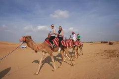 Morning Desert Safari: Dune Bashing, Sandboarding and Camel Rides