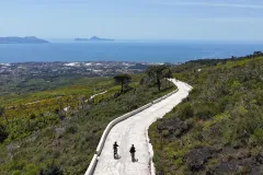 Mount Vesuvius: Skip The Line Ticket + Bike Tour + Roundtrip Train from Naples