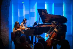Mozarthaus: Entry Ticket + Wiener Ensemble Evening Classic Concert