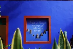Museo Frida Kahlo: Entry Ticket + Guided Tour