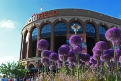New York: Citi Field Ballpark Tour