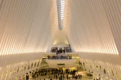 New York: One Day Guided Walking Tour