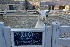Newbridge Heritage Farm: Entry Ticket