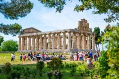 Paestum Archaeological Park: Skip The Line Entry + Guided Tour