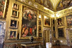 Palazzo Pitti & Palatine Gallery: Entry Ticket + Guided Tour