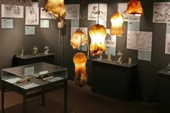 Phallological Museum: Entry Ticket