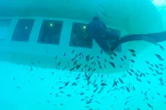 Poseidon Submarine Cruise