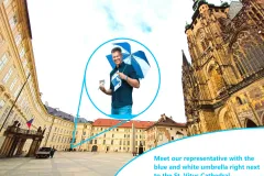 Prague Castle: Entry + Digital Audio Guide with Brief Introduction