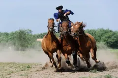 Puszta Full-Day Tour from Budapest including Horse Show & Lunch