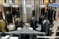 Reif Estate Winery: Walking Tour and Tasting