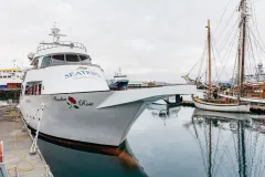 Reykjavík: Luxury Yacht Whale Watching Cruise