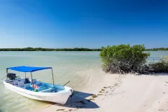 Río Lagartos & Las Coloradas: Guided Tour, Lunch with Drinks + Transfer