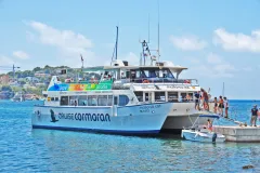 Santa Ponsa: 2-Hr Glass-Bottom Boat Dolphin-Watching