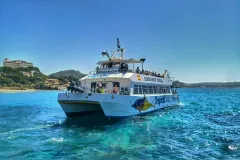Santa Ponsa: 3-Hr Dolphin Watching Boat Excursion