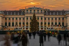 Schönbrunn Orangery: Christmas Market + Concert