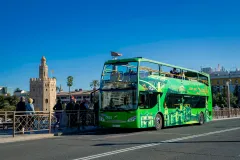 Seville: 24-Hr Hop-on Hop-off Sightseeing Bus Tour