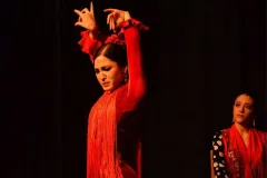 Seville: Flamenco Dance Class