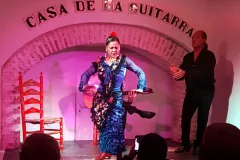 Seville Flamenco Show: Guided Visit + Tapas