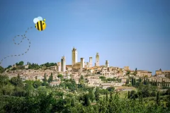 Siena, San Gimignano & Chianti: Cathedral + Food & Wine Tasting from Florence