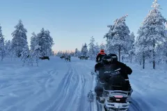 Snowmobile Safari 1 Hour