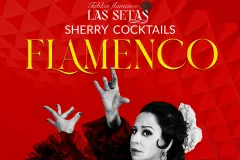 Tablao Flamenco La Setas Seville: Flamenco Show