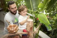 The Green Planet: Skip The Line Ticket