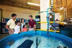 The Lost Chambers Aquarium + Fish Tales Tour
