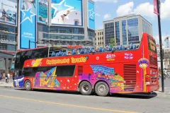 Toronto Hop-on Hop-off Tour: 24 or 48 Hour Pass