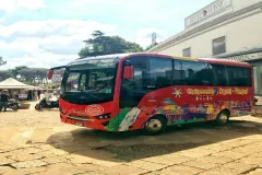 Transportation Only: Roundtrip by Shuttle Bus from Naples to Pompeii