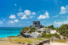 Tulum: Snorkeling With Turtles in Akumal + Transport