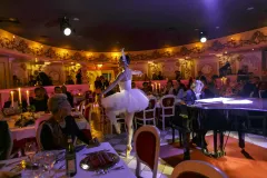 Venice Dinner Show
