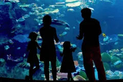 Veracruz & Mandinga Lake Highlights Tour