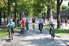 Vienna: Classic Bike Tour