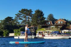 Vienna: Stand-Up Paddleboard Rental