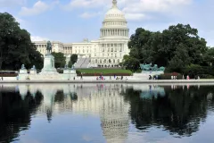 Washington DC: Guided Day Trip from New York