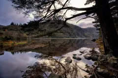 Wicklow, Glendalough & Kilkenny: Tour with Sheep Demonstration + Hotel Pick Up