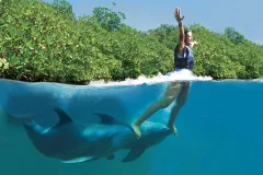 Xcaret Dolphin Tour Plus with Dolphin Swim