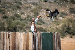 Puy du Fou España