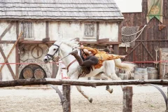 Puy du Fou España