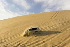 Qatar Desert Safari