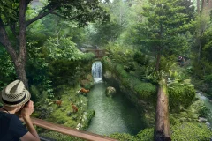 Rainforest Wild ASIA
