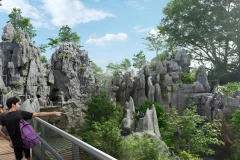 Rainforest Wild ASIA