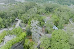 Rainforest Wild ASIA