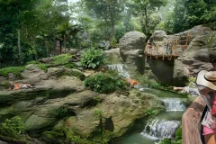Rainforest Wild ASIA