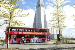 Reykjavik Hop-on Hop-off Tours