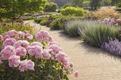 RHS Garden Wisley