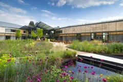 RHS Garden Wisley